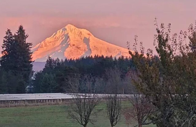 Private country home, Mt. Hood view, hot tub, full kitchen, business class Wi-Fi