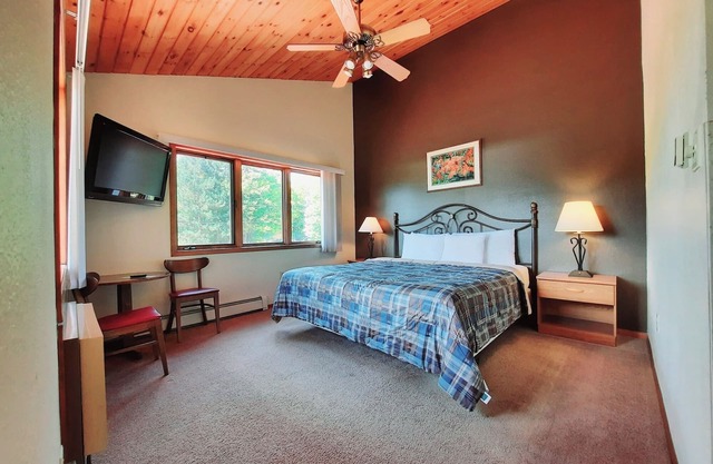 Private couples suite inside the Lodge at North Ironwood Acres resort with knotty-pine vaulted ceiling, one KING bed, sofa and one small bathroom. DOG FRIENDLY!!