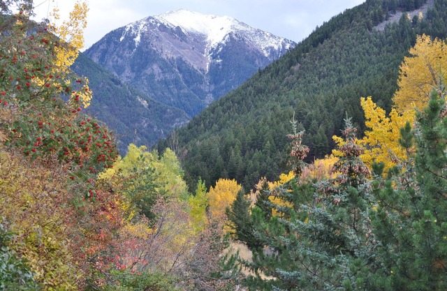 Private Creekside Retreat in der Nähe von Yellowstone & Chico Hot Springs