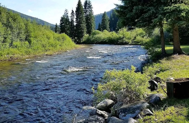 Private East Fork River Cabin, sleeps 9, 2 acres, 30 minutes to ski hill & Darby