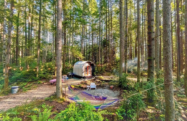 Private Forest Glamping Cabin in Beautiful Port Orchard