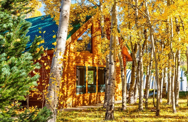 Private Gore Pass Adventure Cabin With Hot Tub