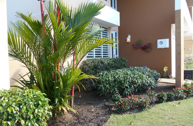 Privates 4 Schlafzimmer Haus, Pool, nahe am Strand und Regenwald!