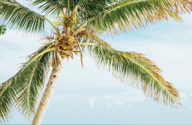 Privathaus mit Zugang zum Strand, in den schönsten Florida Keys