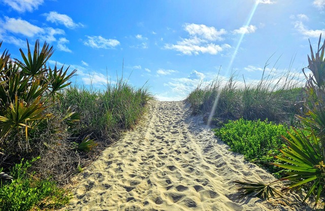Private House Walk to the Beach & Parks! 🌴Large Decks, Family Vacation! Hammock Beach