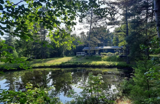 Whole home, private lake, sauna, WFH office
