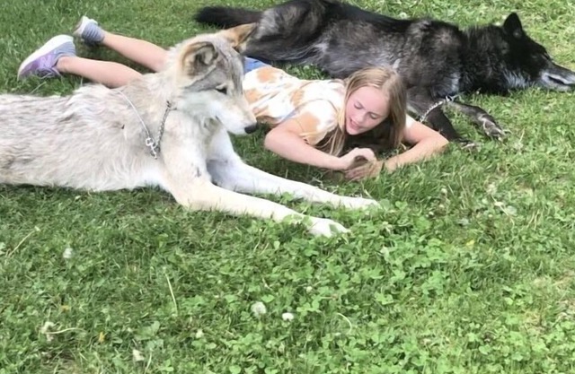 Rustikaler Rückzugsort: Hütte und Wildpark