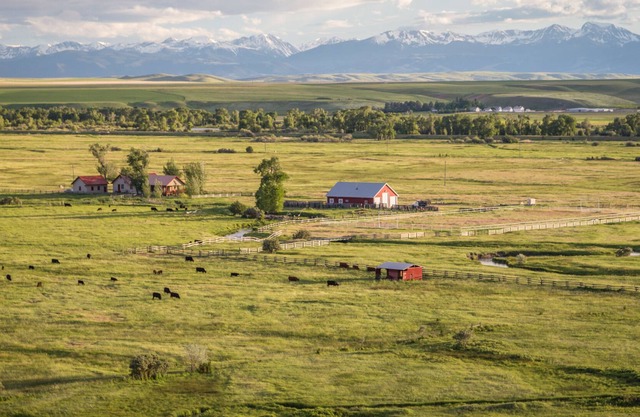 Privater Zugang zum Madison River von dieser Ranch 30 Minuten von Bozeman entfernt