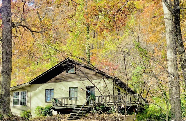 Private Mountain Cottage on 7 Acres & Creek