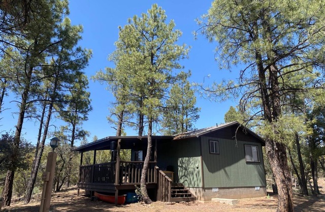 Private Mountain Get-A-Way in the Pines