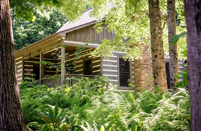 Privat, auf 53 Morgen, direkt neben dem Blue Ridge Parkway