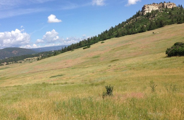 Privater, ruhiger, neu errichteter Ranch-Rückzugsort!