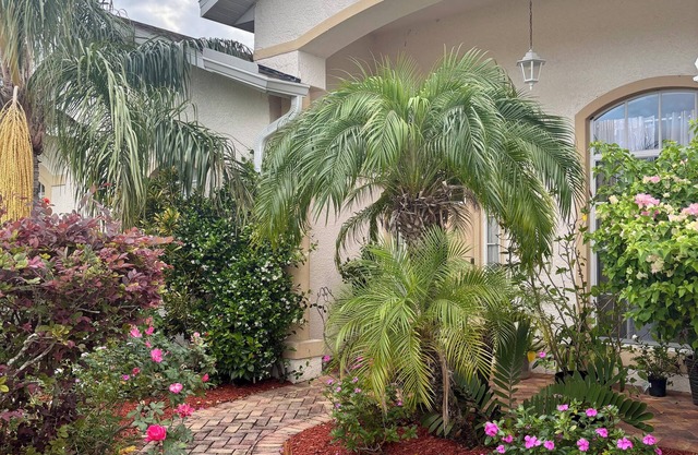 Private Quiet Room for Rent near Tampa, FL – Ideal for Students or Professionals