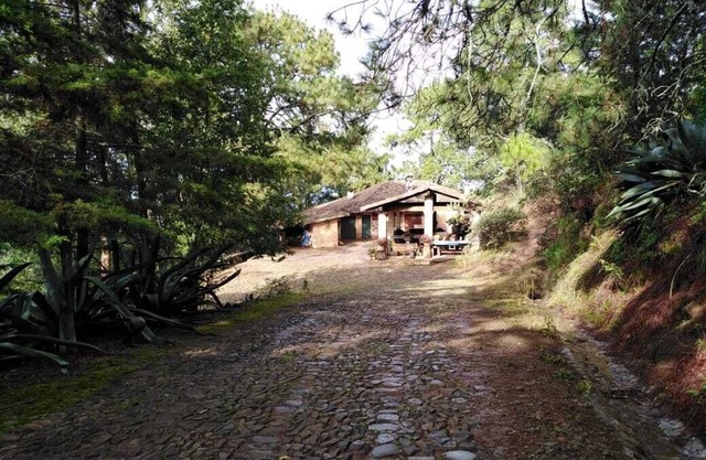 Private retreat estate in the woods. Just 5 minutes away from charming town.