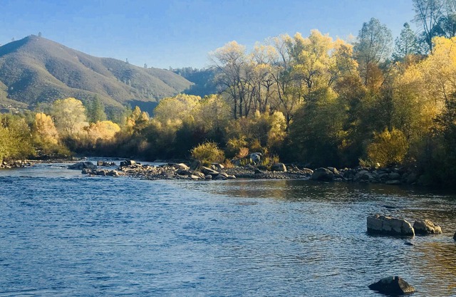 Private River and Mountain Views from Cozy Cabin, Covered Deck and Beach!