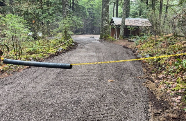 Private RV parking at the base of Mt. Rainier. Have the forest to yourself!