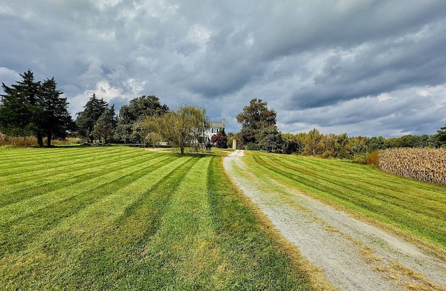 Private, Spacious Country Retreat. Pets welcome!