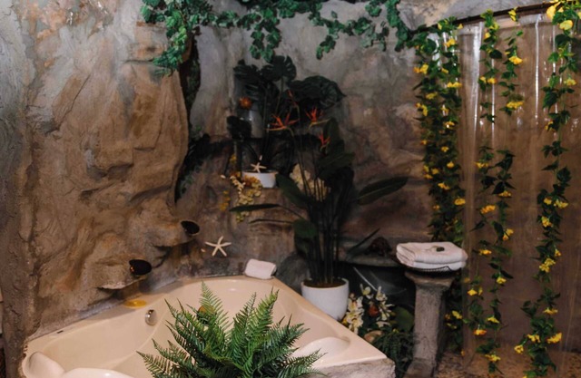 Private Suite AirJet Tub & Waterfall Shower, Cove Themed