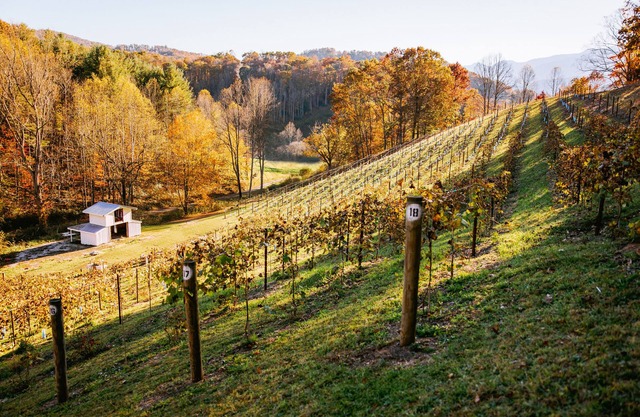 Private Vineyard Getaway!