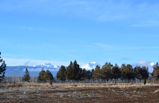 Privater Flügel auf 10 Hektar mit Blick auf die Berge.