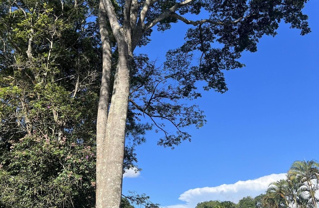 Procurando Tranquilidade e Diversão? Nós Temos Ambiente Natural e Aconchegante