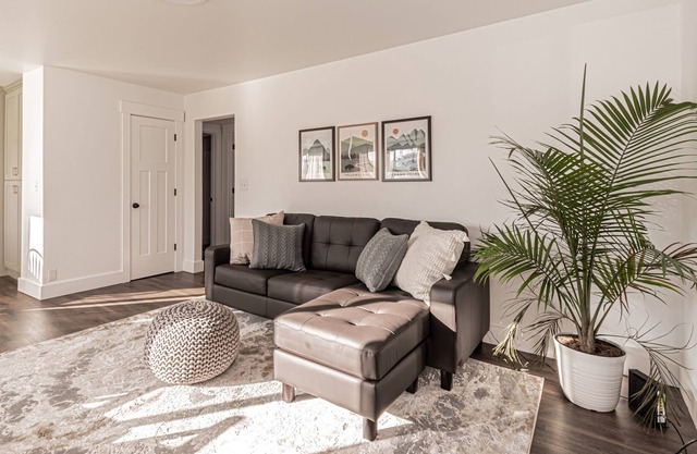 Professionally Designed Central Idaho Falls home - 4 bed 2 bath