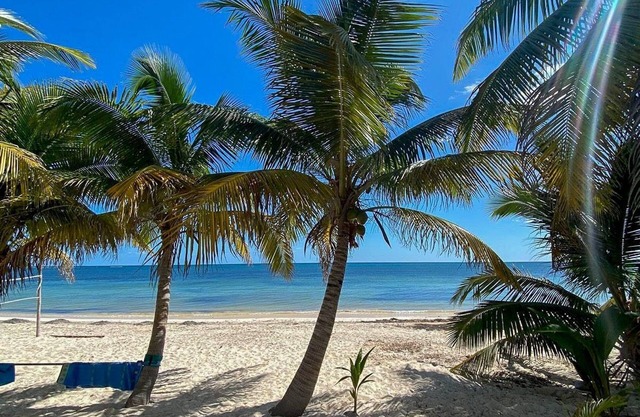 Pronoia Casa de Playa