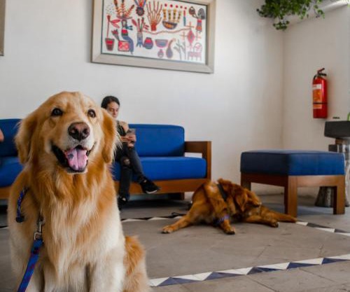 Puerto de Luna Pet Friendly and Family Suites