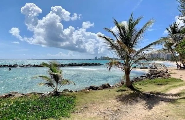 Puerto Rico Beachside Rental w Pool Otium Rentals
