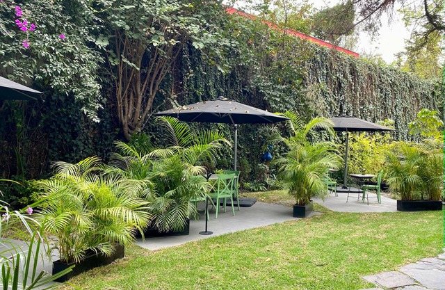 Pug Seal Polanco Anatole France