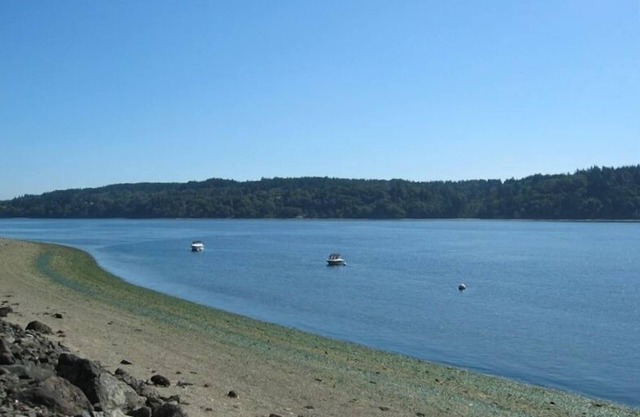 Puget Sound Beachfront Cabin