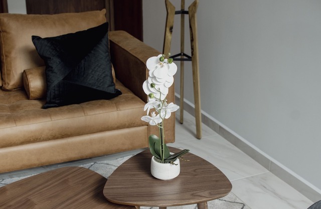 Punto Lofts Periférico Sur