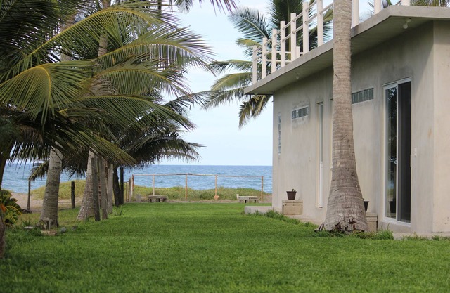 Pura Vida Veracruz