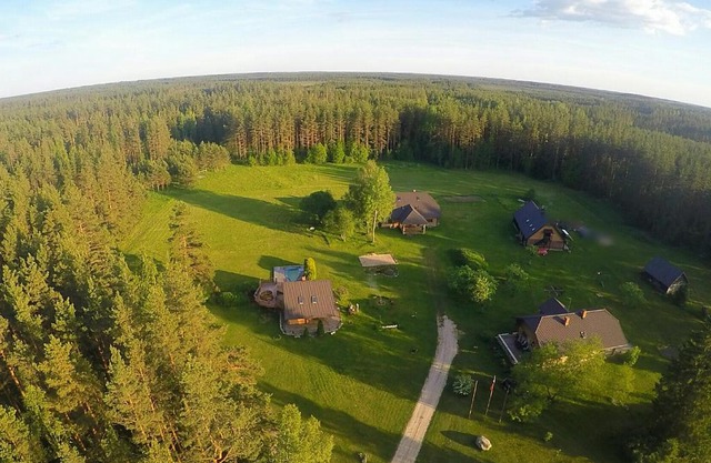Purgaiļi