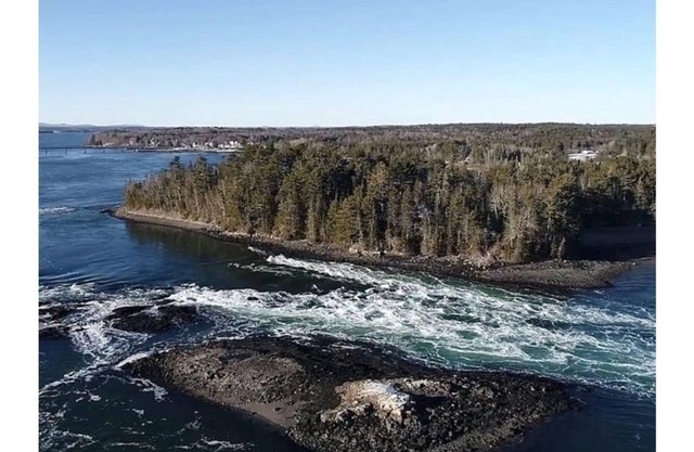 *Quaint 3-Bedroom Cape* Walk to reversing falls!