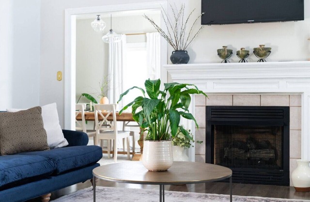 Quaint & Cozy | 10 min. to LU | The Wyndsong