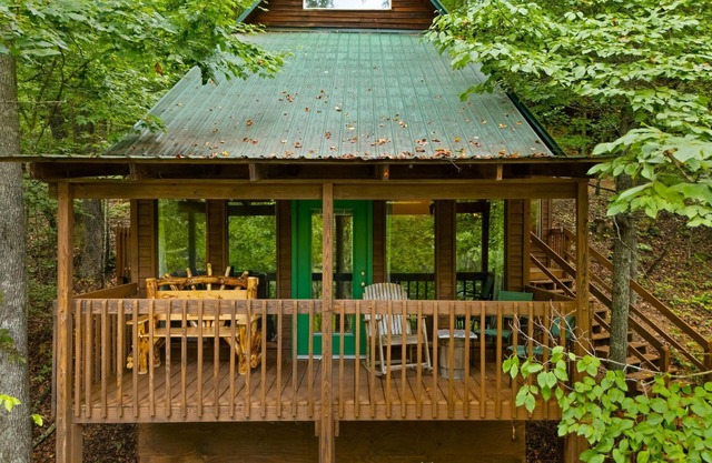 Quaint, heavily forested cabin, mountain valley view.
