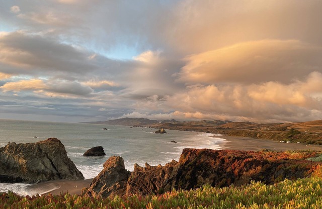 Quaint Ocean Getaway, Walk to Beach, Dogs Invitedn