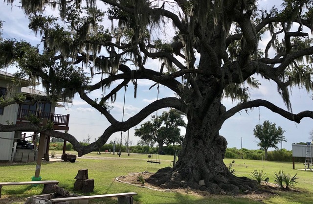 Quaint, peaceful apt near Rockefeller Refuge/Mermentau river Grand Chenier, LA