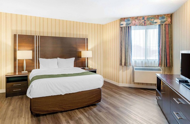Quality Hotel & Suites