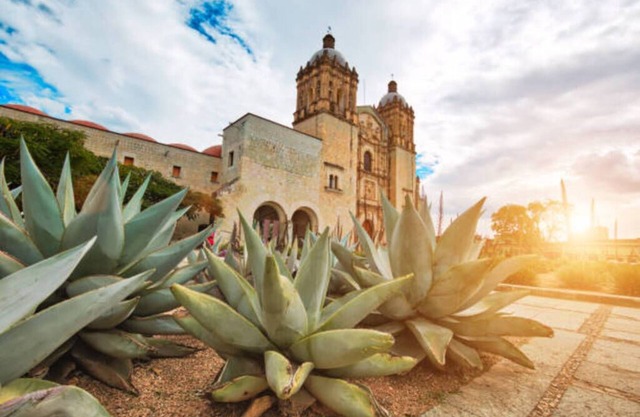quiet and safe place 15 minutes from the zocalo.