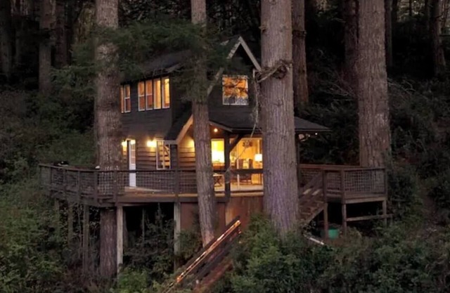 Quiet and Serene Cabin in the Tree's