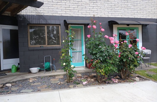 Quiet apartment with WiFi, parking, kitchen & bathroom in charming Putāruru -