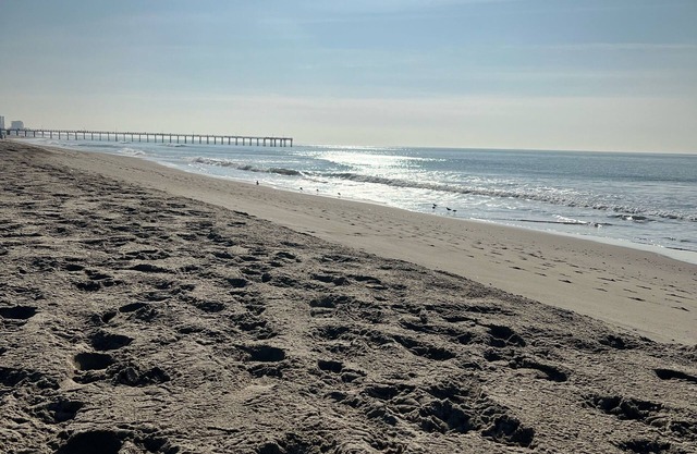 Quiet Beautiful Beach Condo Schritte zum Strand, Wir sind das beste Angebot!