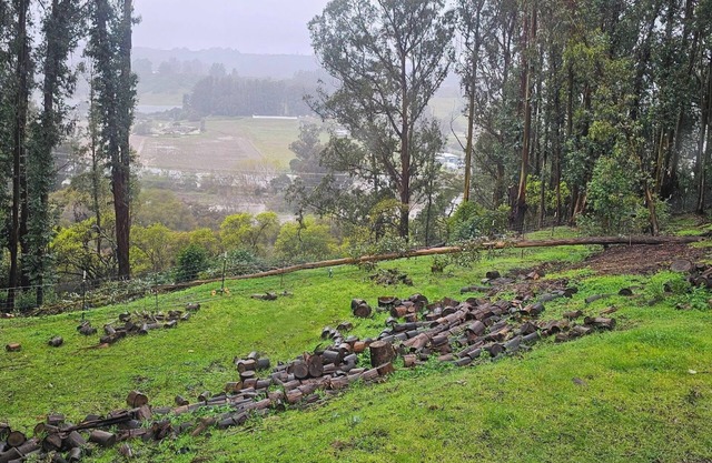 Quiet Country 1-bedroom apartment in Royal Oaks with beautiful views