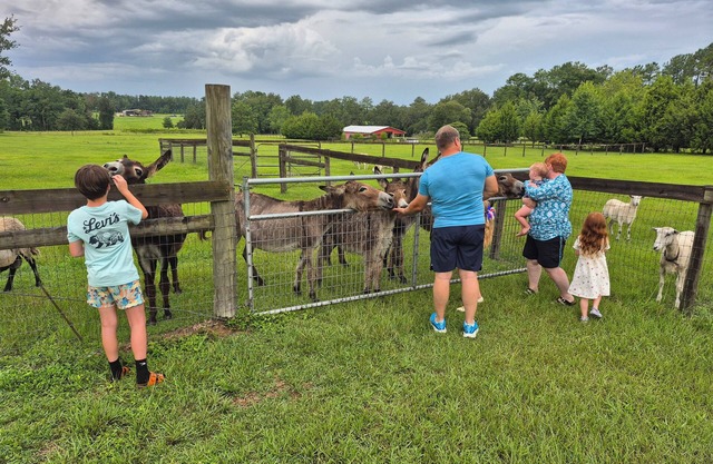 Neu! 3 Schlafzimmer Haus auf dem Land in der Nähe von HITS, Gainesville und Ocala