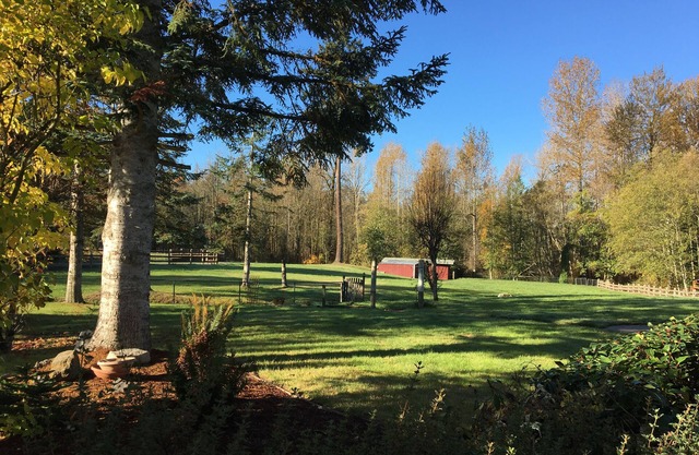Quiet Country Retreat, 4 Bedroom Rambler on 9 Acres in Rural Edgewood Sleeps 9
