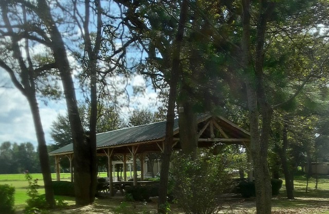 Quiet & Cozy Efficiency Cabin in East Texas