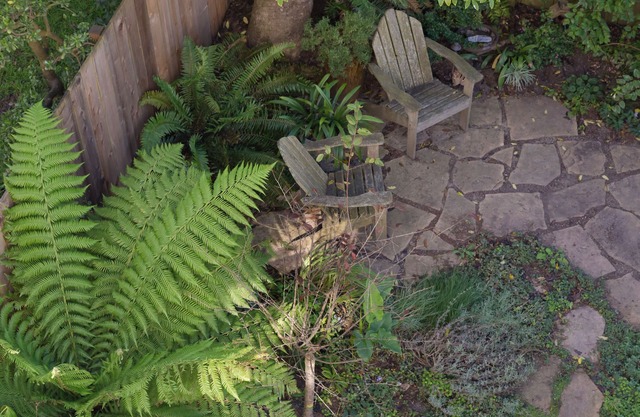 Quiet Garden Studio in der Nähe von Golden Gate Park