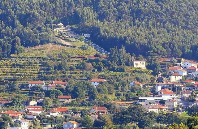 Quiet House in Viana do Castelo Pets Allowed